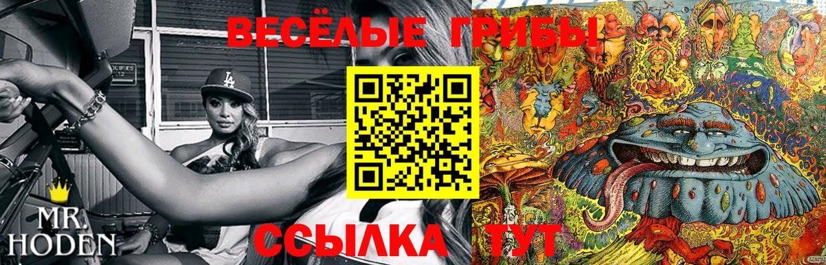 Галлюциногенные грибы мицелий Клинцы