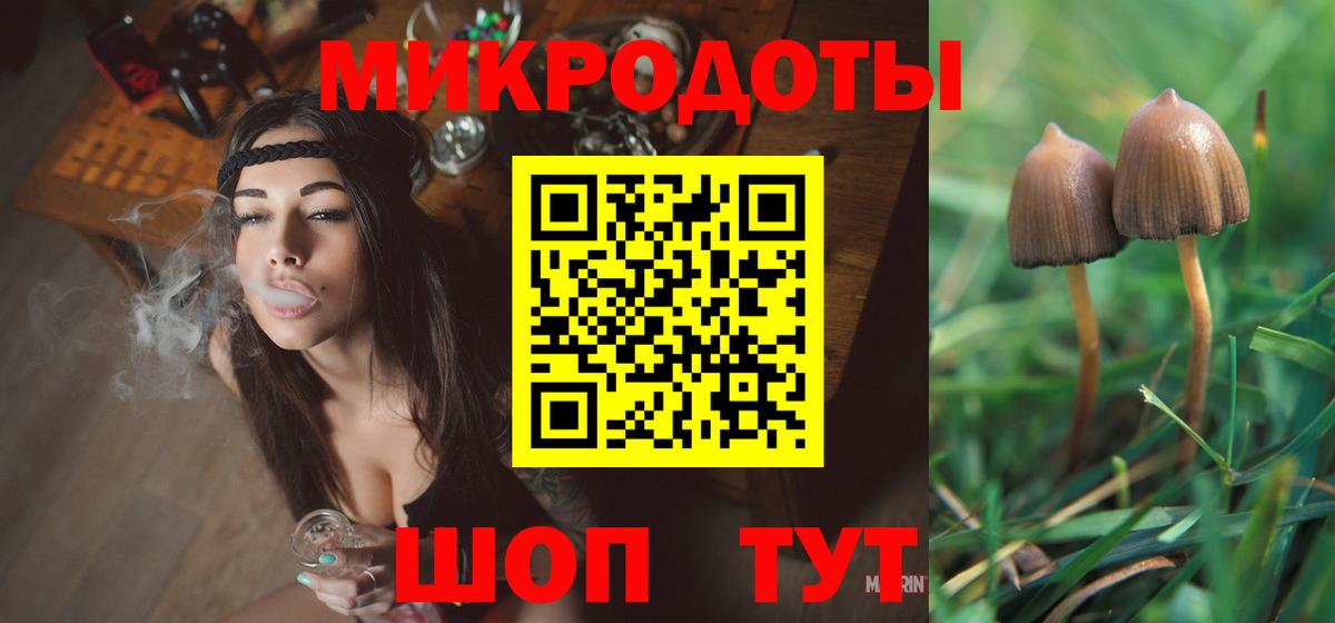 Клинцы  Галлюциногенные грибы ЛСД  Вход с VPN 
